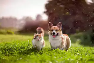 Kids Playzone at Hiranandani Westgate